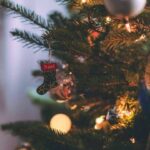 Hôtel Palais de l'Isle Annecy - Le lac d’Annecy à l’horizon grâce à un hôtel bien situé